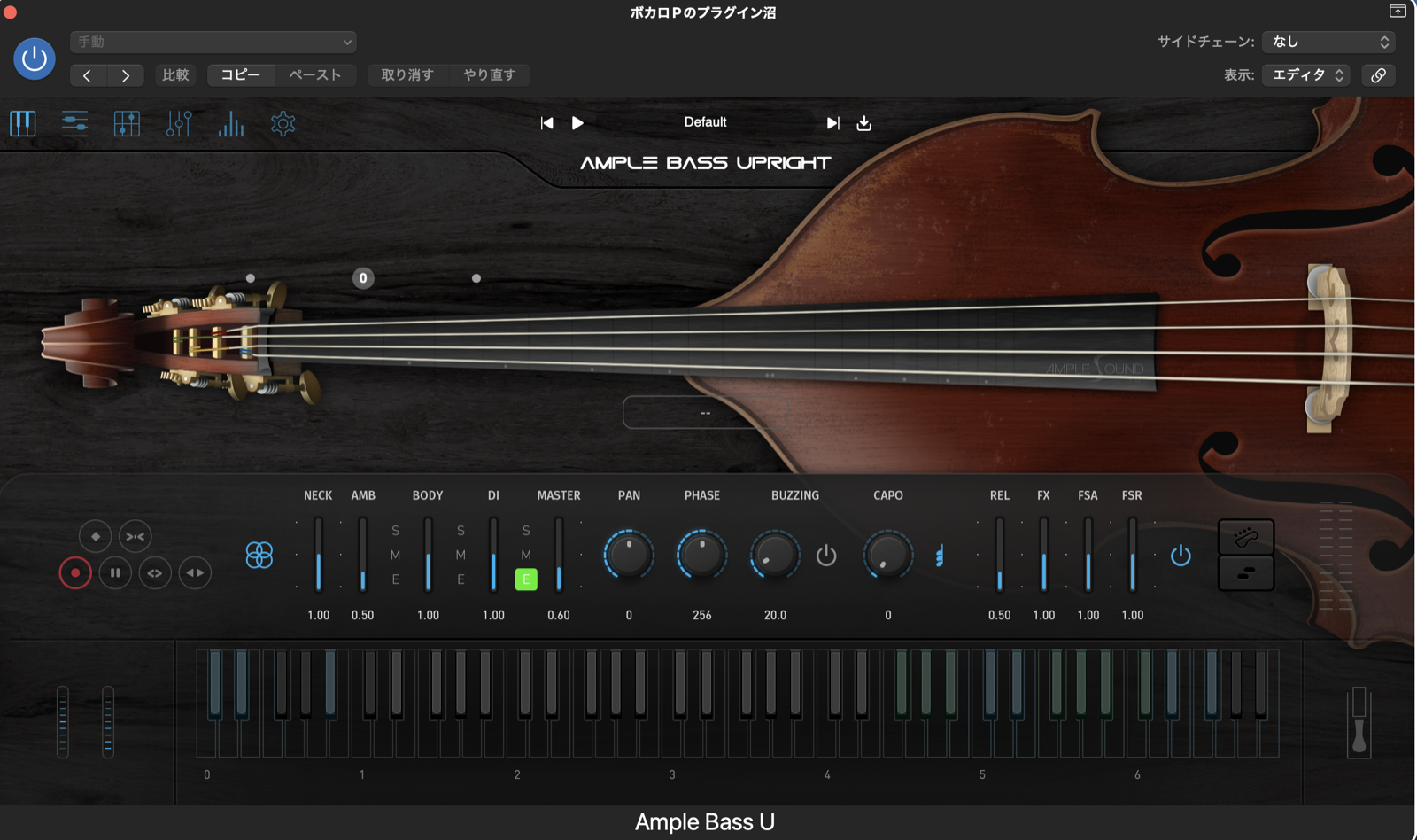 Ample Bass Uprightのメイン画面。ウッドベースのフレットボードと基本パラメータ