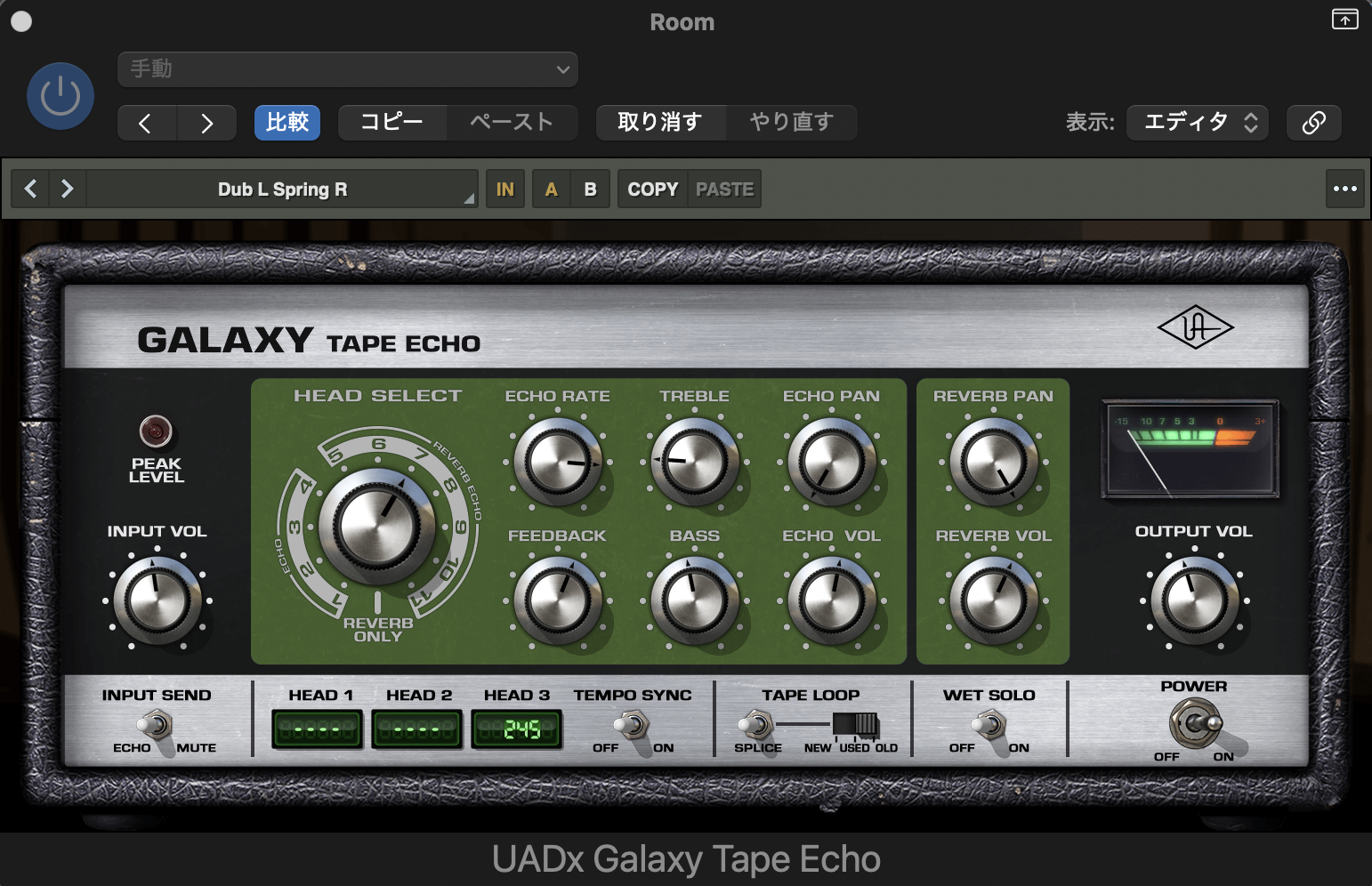 Galaxy Tape Echo のプリセット「Dub L Spring R」を読み込んだ画面。つまみの位置が初期状態から大きく変わる