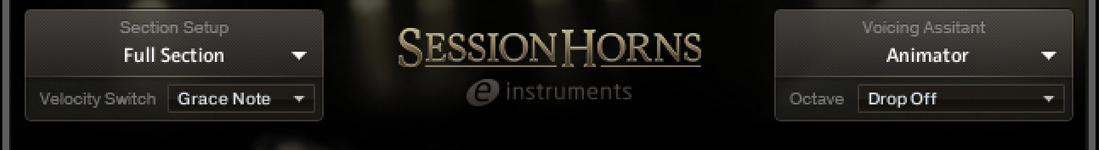 Session Hornsの画面上部。左がSection Setup（Full Section）、右がVoicing Assistant（Animator）の切り替え（Native Instruments公式サイトより）