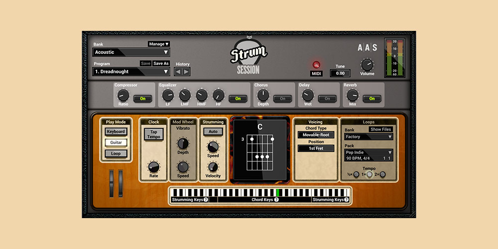 Strum Sessionの画面（Plugin Boutiqueの製品画像）